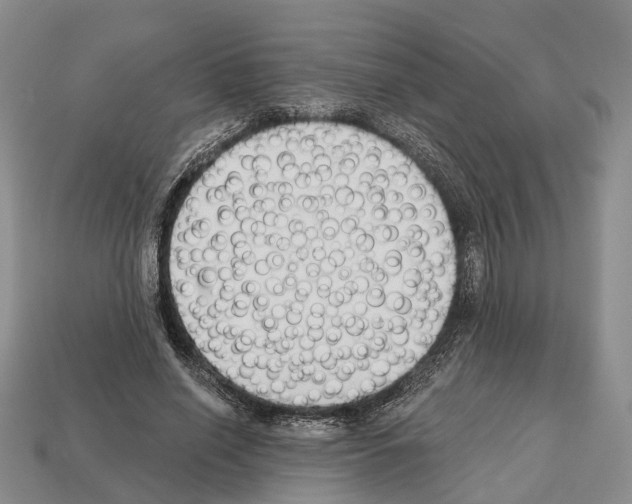 X0000112520638200909281017