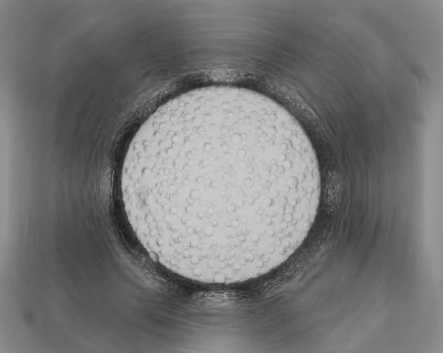 X0000112520639200909281017