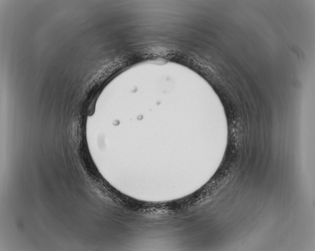 X0000112520642200909281017