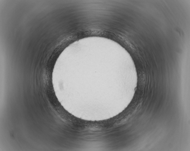 X0000112520643200909281017