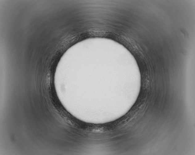 X0000112520647200909281017