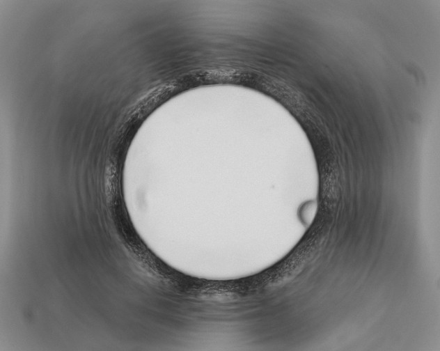 X0000112520648200909281017