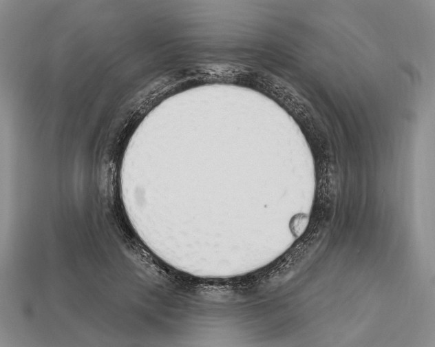 X0000112520649200909281017