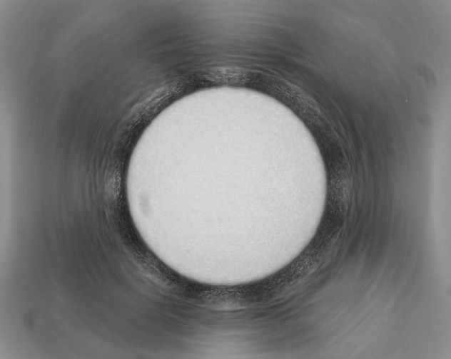 X0000112520652200909281017