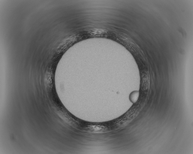 X0000112520654200909281017