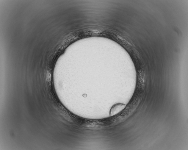 X0000112520657200909281017