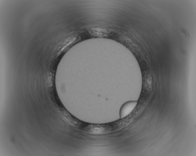 X0000112520658200909281017