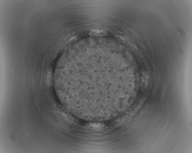 X0000112520659200909281017