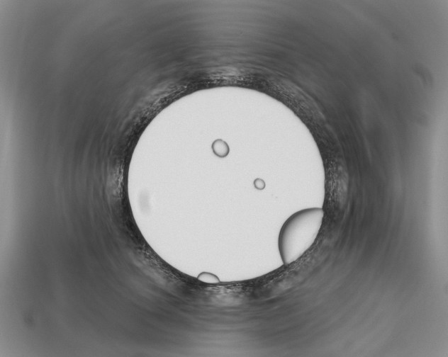 X0000112520660200909281017