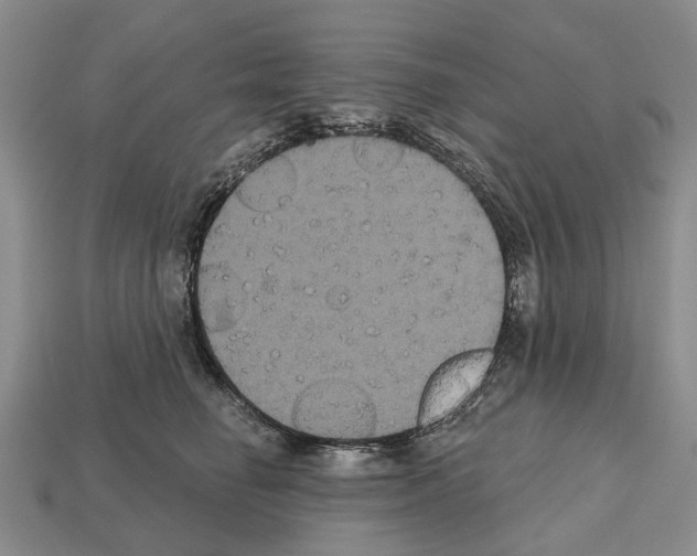 X0000112520662200909281017