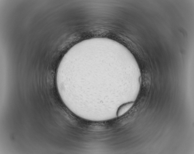 X0000112520664200909281018