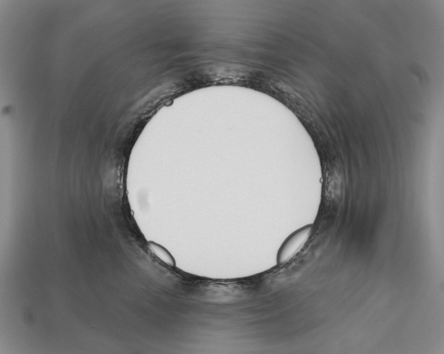 X0000112520666200909281018