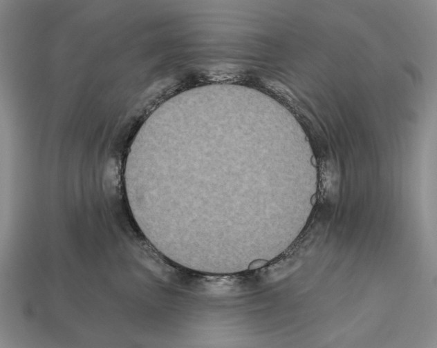 X0000112520667200909281018