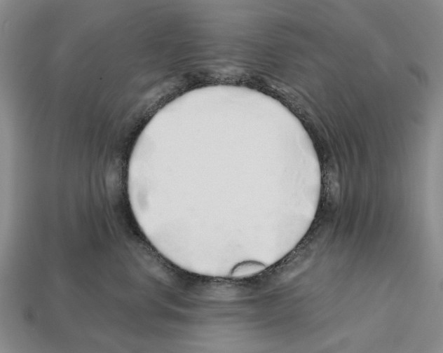 X0000112520668200909281018