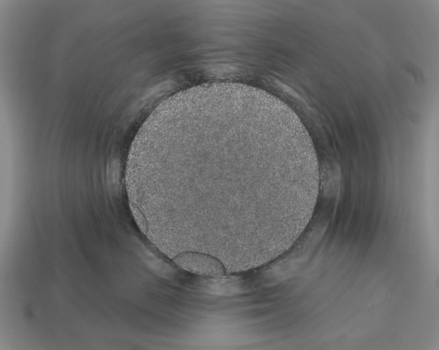 X0000112520670200909281018