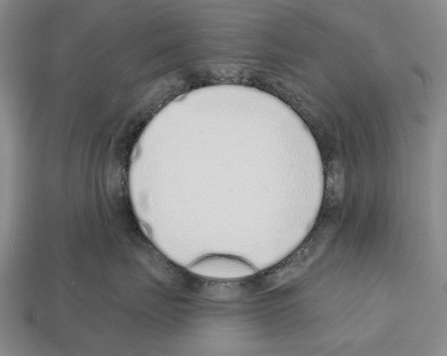 X0000112520671200909281018