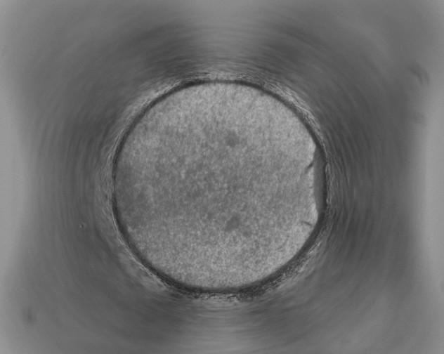 X0000112520673200909281017