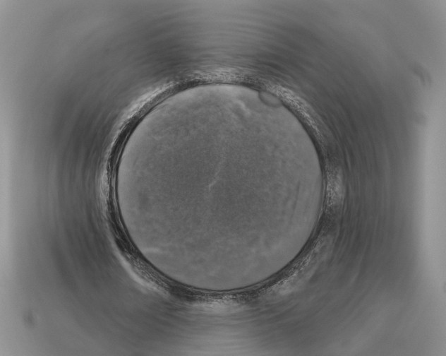 X0000112520674200909281017