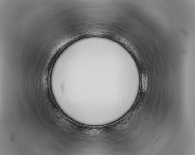 X0000112520675200909281017