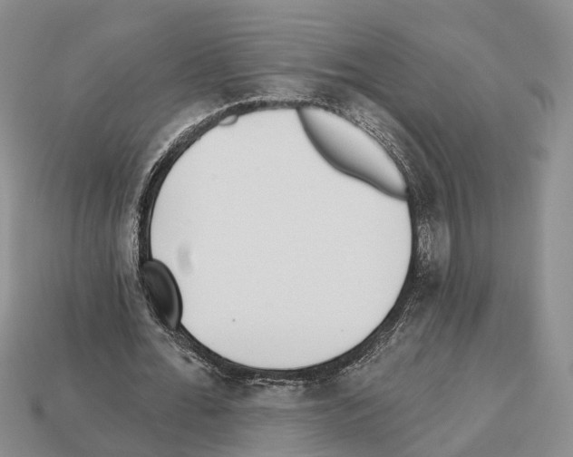 X0000112520676200909281017