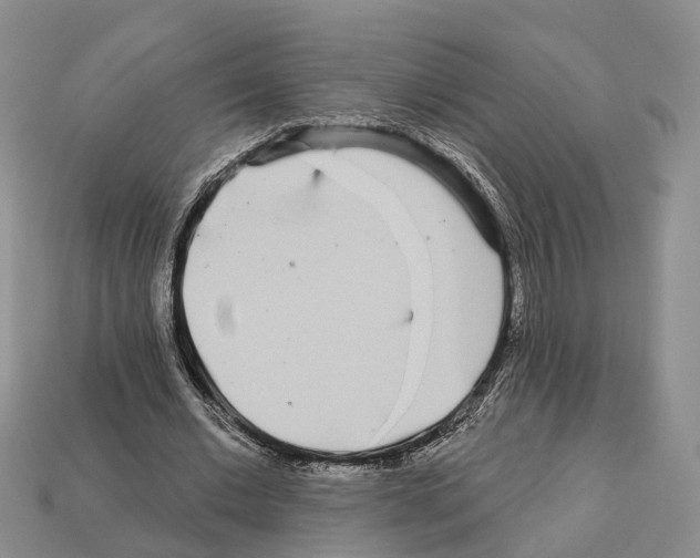 X0000112520677200909281017