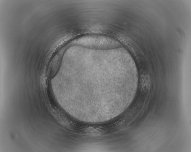X0000112520680200909281017