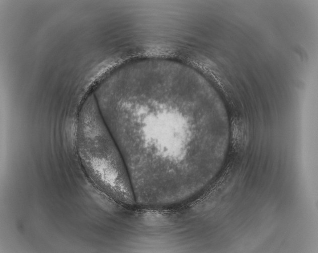 X0000112520684200909281017
