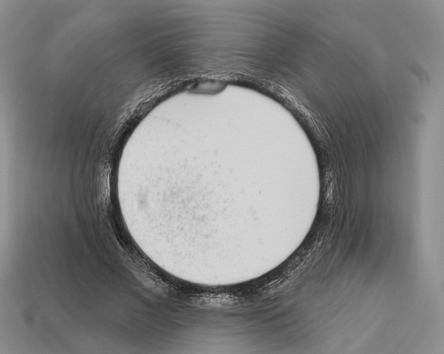 X0000112520685200909281017
