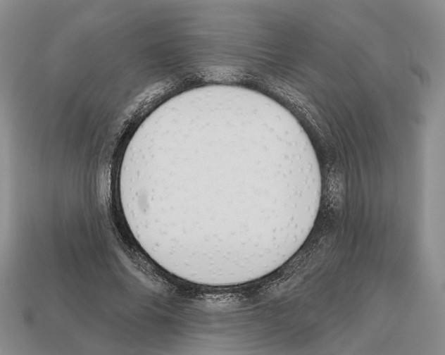 X0000112520686200909281017