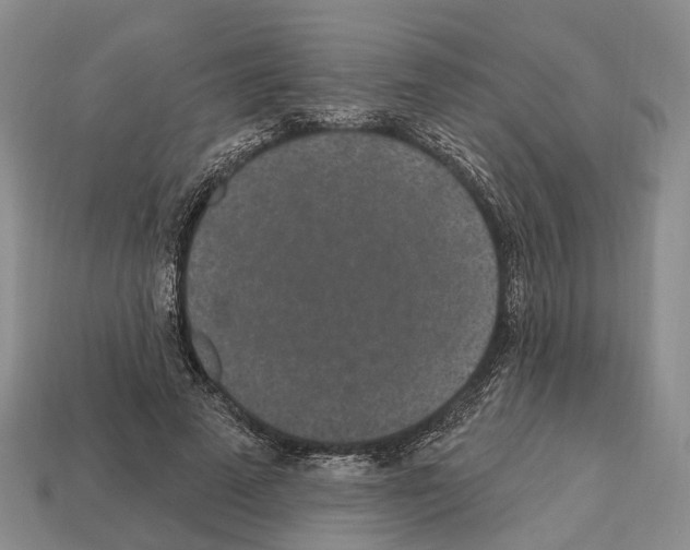 X0000112520689200909281017