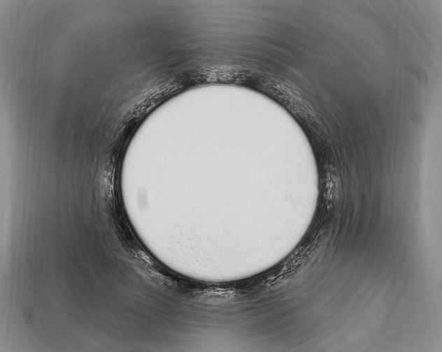 X0000112520691200909281017