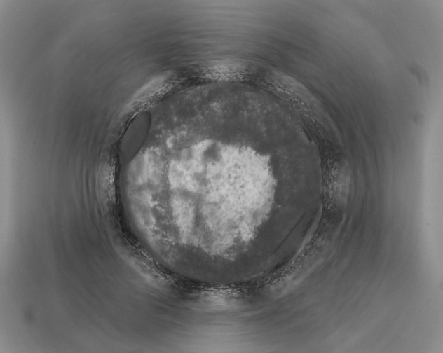 X0000112520696200909281017