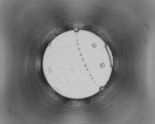 X0000112520697200909281017