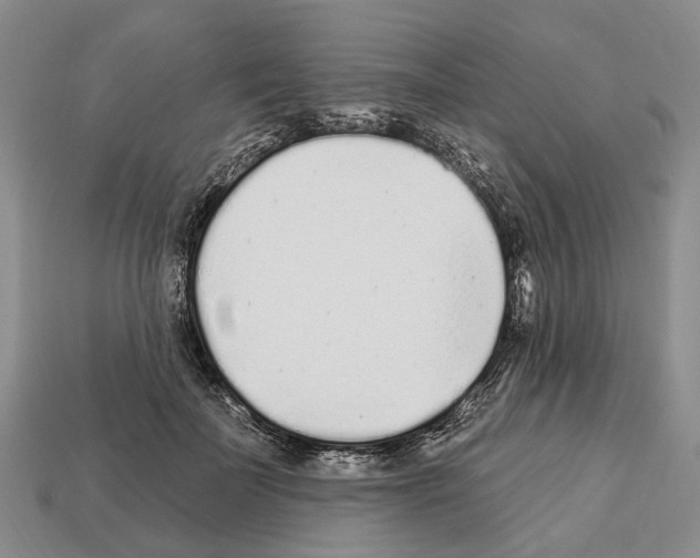X0000112520699200909281017