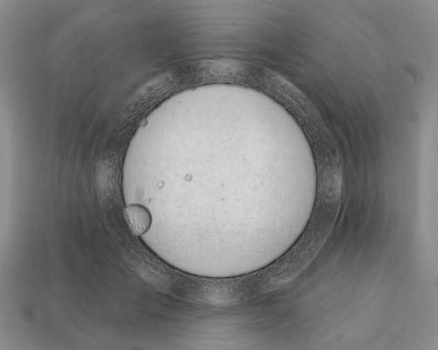 X0000112520701200909281017