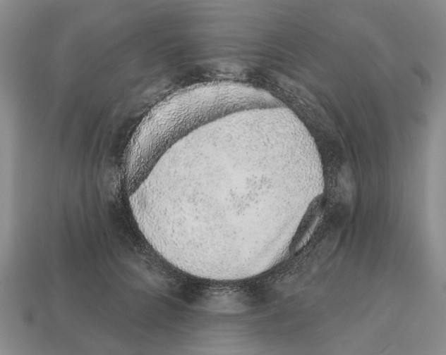 X0000112520704200909281017
