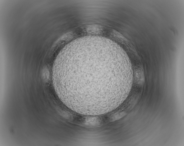 X0000112520705200909281017