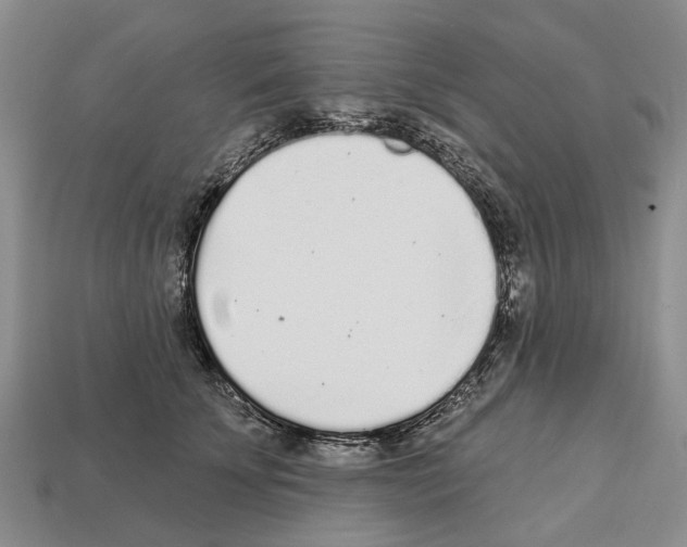 X0000112520707200909281017