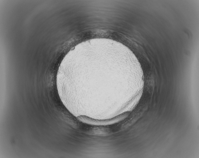 X0000112520708200909281017