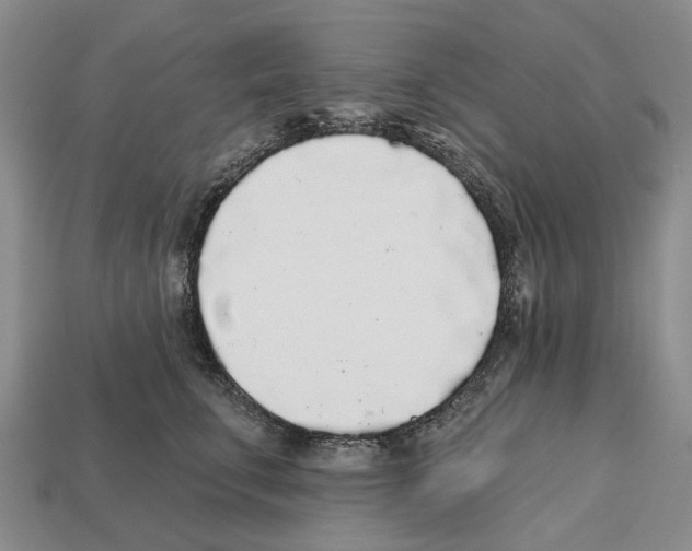 X0000112520711200909281017