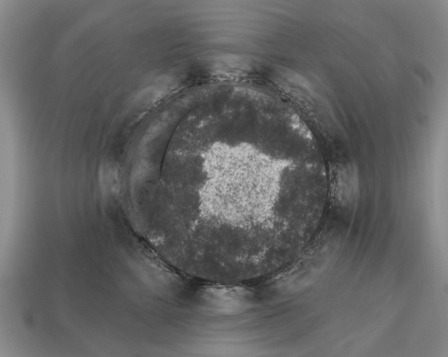 X0000112520712200909281016