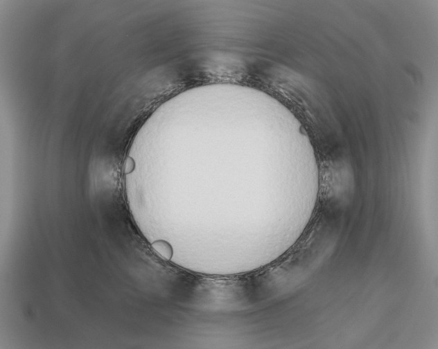 X0000112520713200909281016