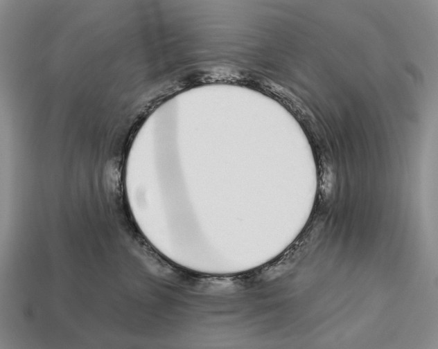 X0000112520715200909281016