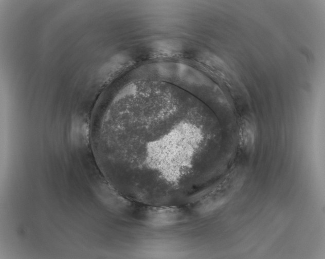 X0000112520716200909281016