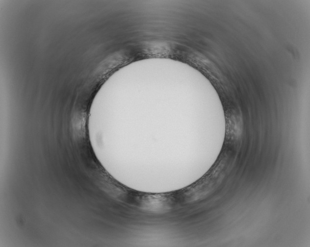 X0000112520717200909281016