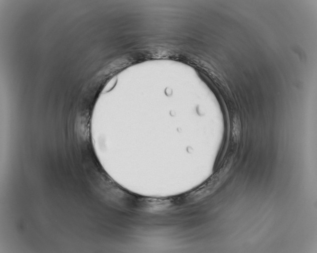 X0000112520719200909281016