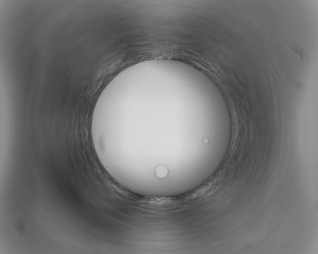X0000112520720200909281016