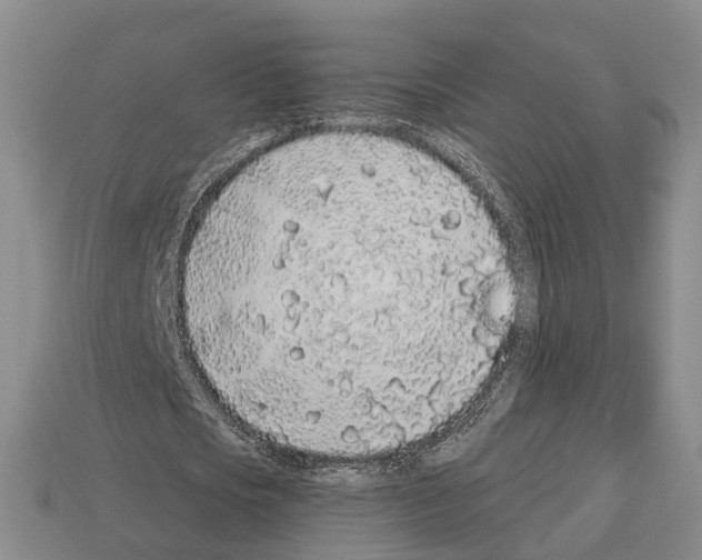 X0000112520721200909281016
