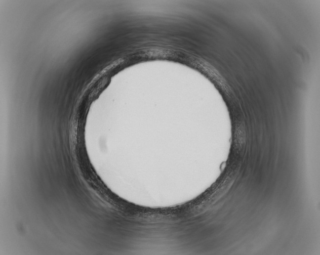 X0000112520722200909281016