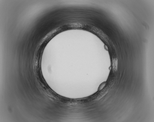 X0000112520723200909281016